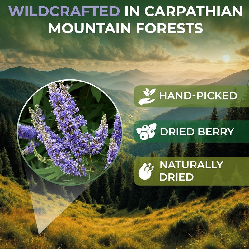WILDFIELD HERBS Chasteberry Tea Bags - 50 Count - Image 3